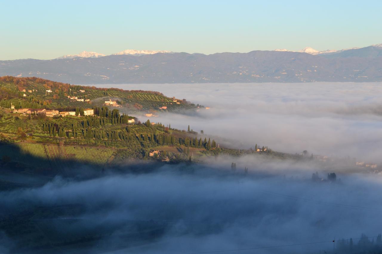 Tenuta Di Capezzana Bed & Breakfast Seano Exterior foto