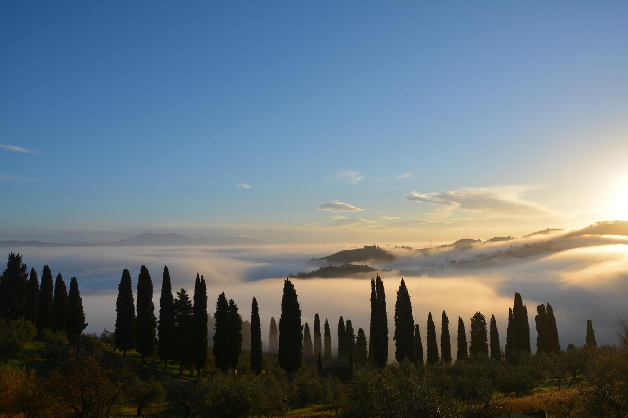 Tenuta Di Capezzana Bed & Breakfast Seano Exterior foto